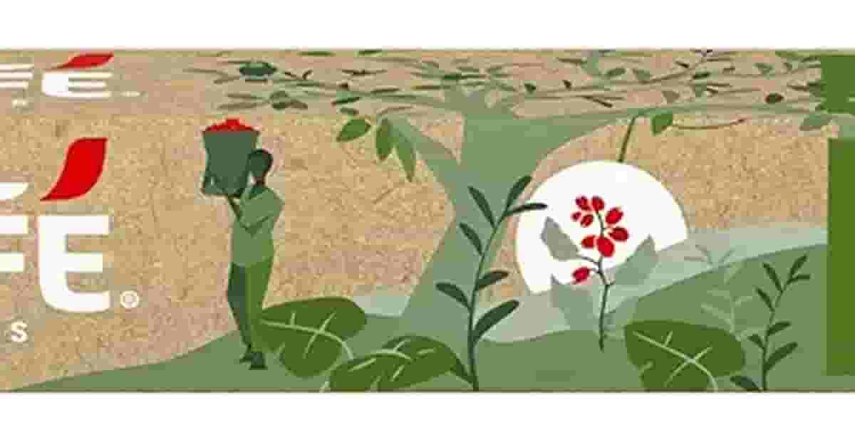 Melhor Café Cápsula Nespresso: Sabores Que Encantam