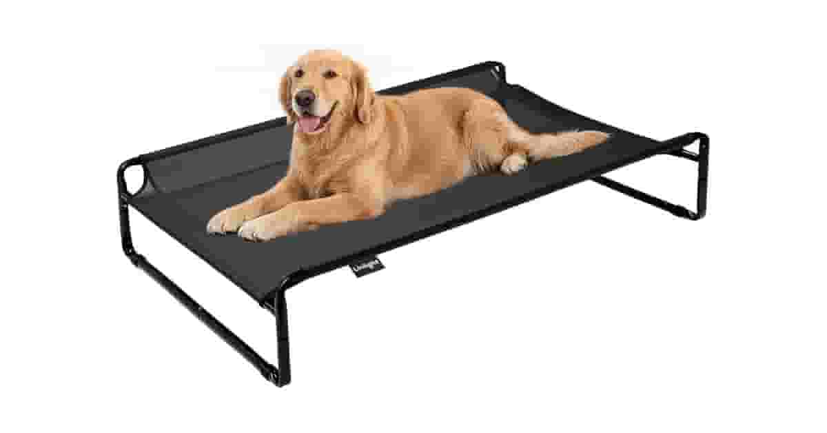 Melhor Cama Suspensa para Cachorro: Guia de Conforto e Durabilidade
