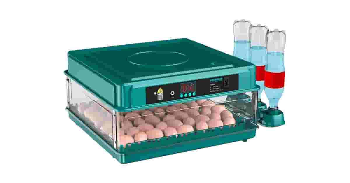 Melhor Chocadeira do Brasil: Guia Completo de Escolha