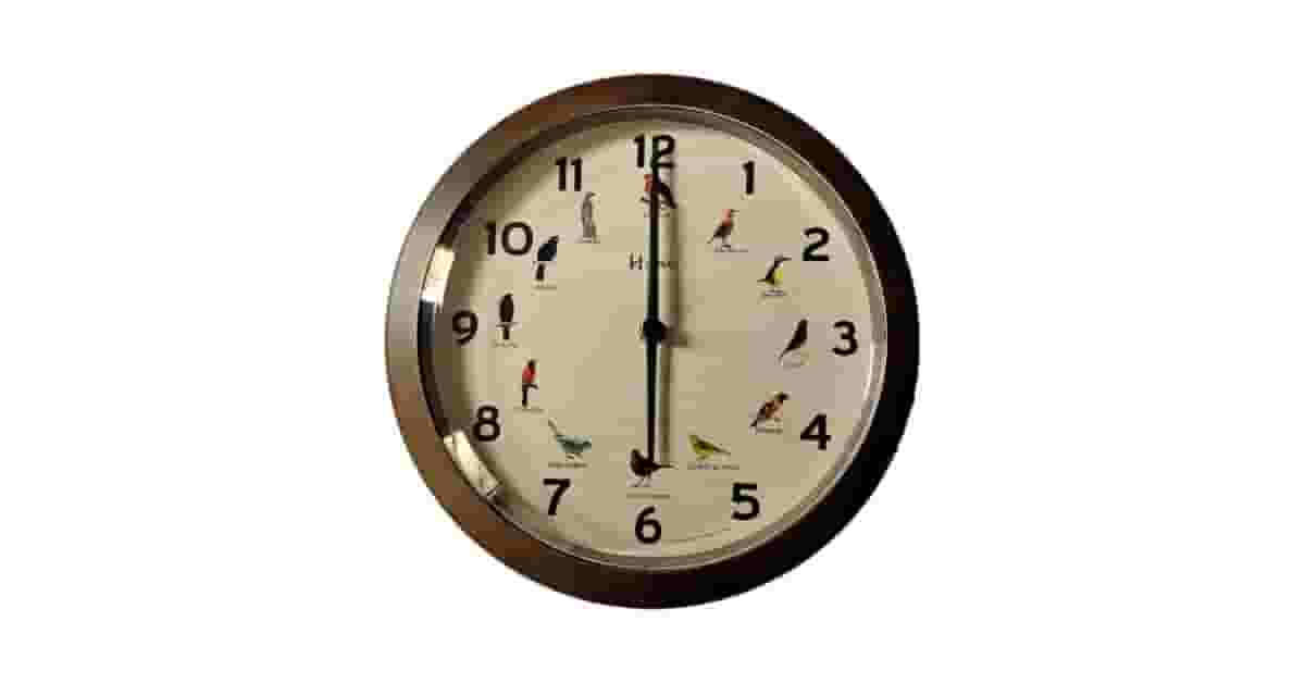 Melhor Marca de Relógio Brasileiro: Escolha o Seu!