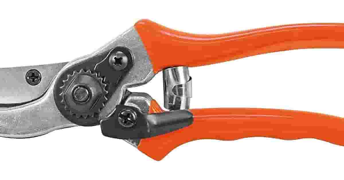 Melhor Tesoura de Poda Profissional: Corte Preciso Garantido