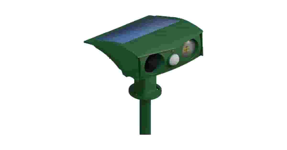 Melhores Repelentes de Gatos Para Jardim: Qual o Ideal?