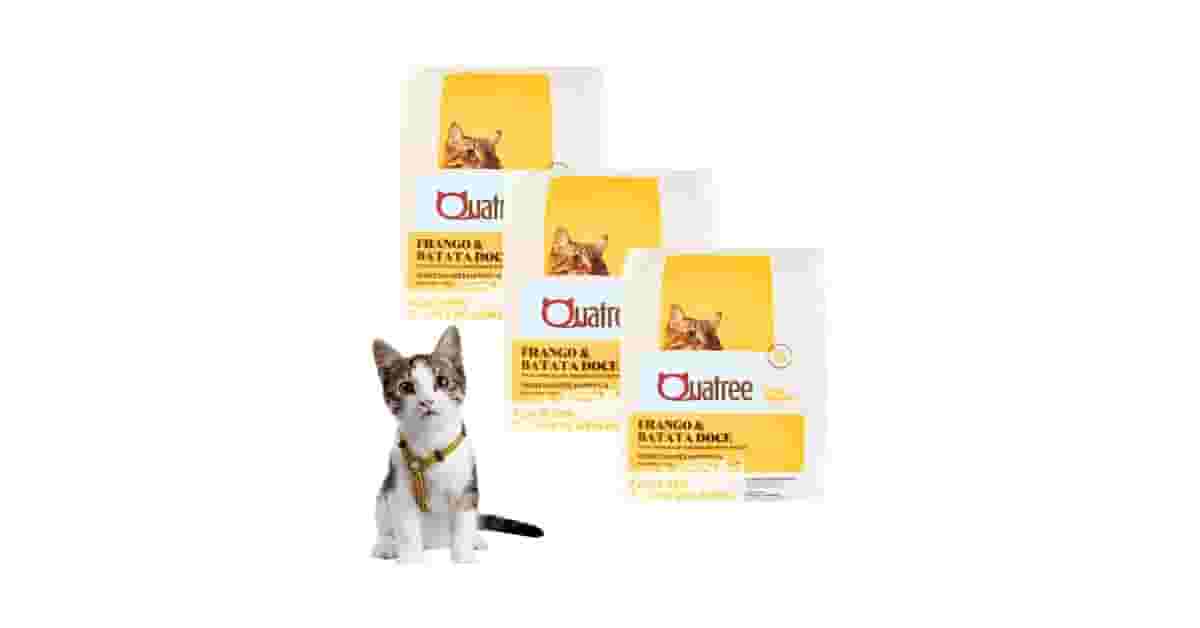 Qual a Melhor Ração para Gato Castrado com Infecção Urinária: Guia Completo