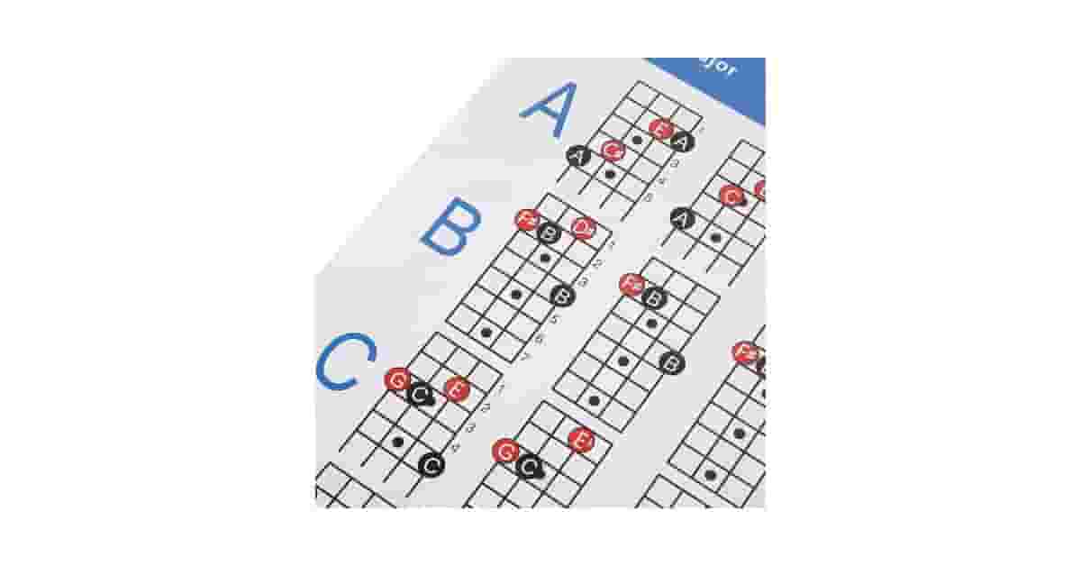 Qual Melhor Tipo de Baixo para Iniciantes: Guia Essencial