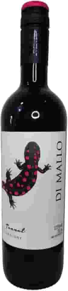 Vinho Tinto Seco Jovem Tannat Uruguaio Aromas Frutas Negras Madura Taninos Leves Bom Volume 750 ml