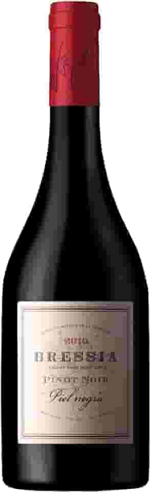 VINHO ARGENTINO BRESSIA PIEL NEGRA PINOT NOIR 750ML