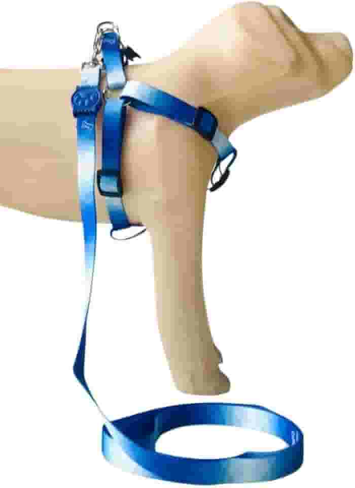 Conjunto Peitoral Coleira com Guia para Cachorros com Pingente para Identificação M, Tamanho Ajustável, Confortável e Resistente