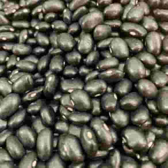 FEIJAO PRETO ARGENTINO 1KG