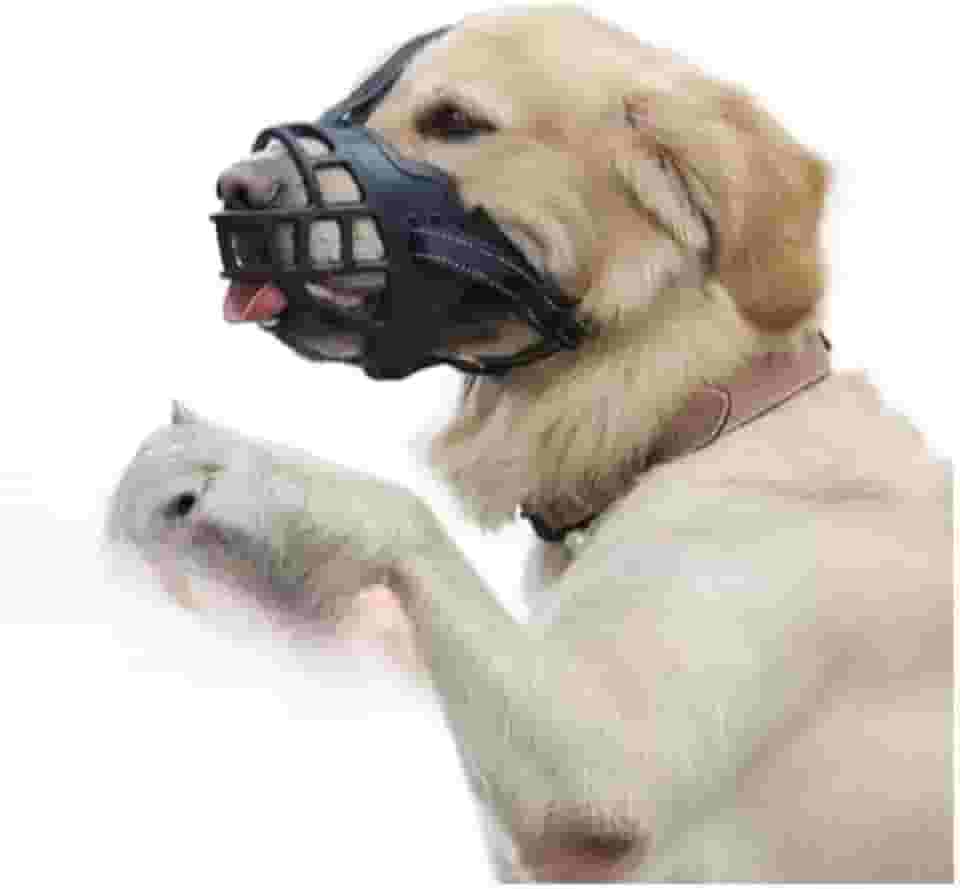 Focinheira De Silicone Para CãEs | ConfortáVel, Leve E AjustáVel | Permite O CãO Beber áGua E Ofegar(P-2)