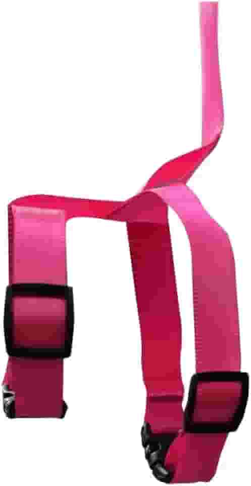 Guia e Peitoral Para Papagaio Morapet