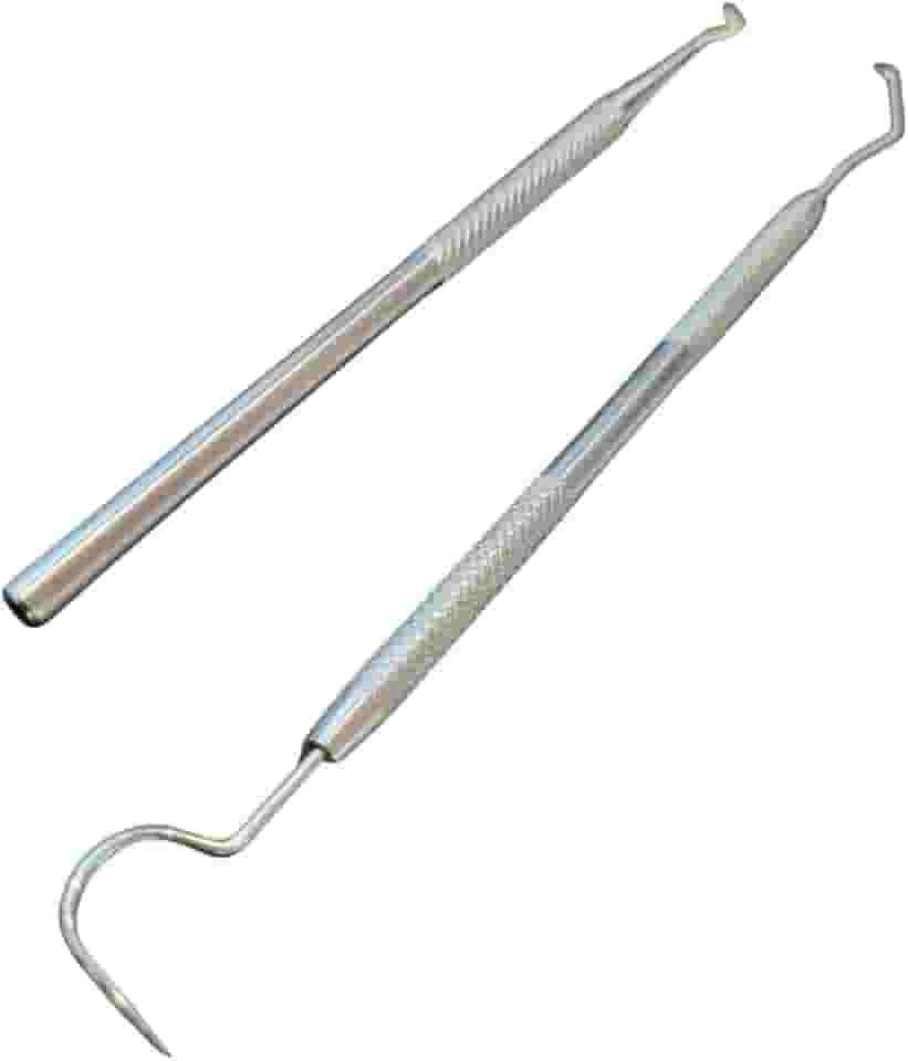 Kit Profissional de Limpeza Dental, 2 Peças, Sonda e Extrator de Tártaro, Aço Inoxidável, Autoclavável