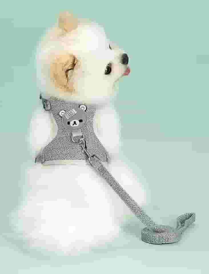 Peitoral e coleira para cães e gatos, colete macio com corda, peitoral ajustável para passear, apenas para cães pequenos e gatos, tamanho G, cinza