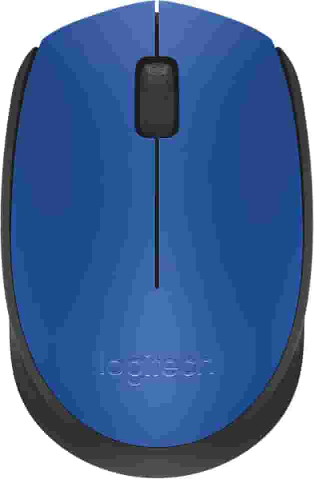 Mouse sem fio Logitech M170 com Design Ambidestro Compacto, Conexão USB e Pilha Inclusa - Azul