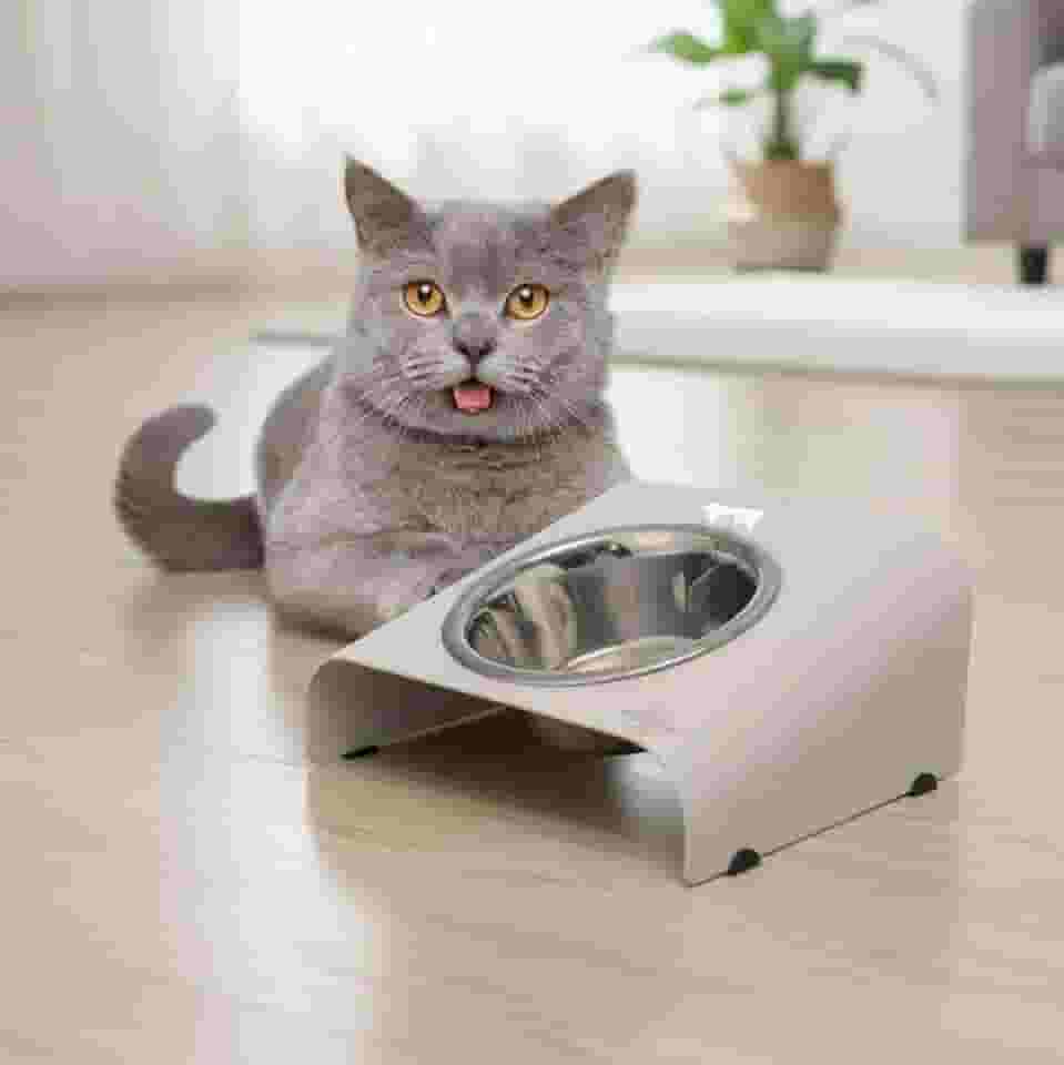 Comedouro inclina Elevado para gatos, base em Alumínio com Tigela Removível em Aço Inox, Pés Antiderrapantes (branco)