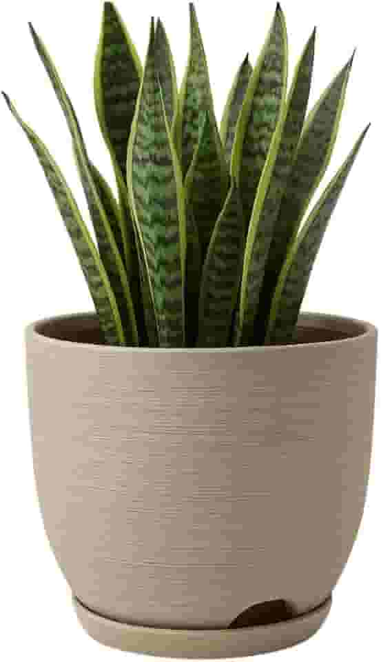 Vaso Polietileno Cor Bege Para Plantas Jardim Sala Luxo escovado bojo pequeno Com Prato