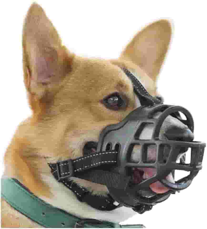 Focinheira De Silicone Para CãEs | ConfortáVel, Leve E AjustáVel | Ideal Para Uso DiáRio E Passeios(G-4)