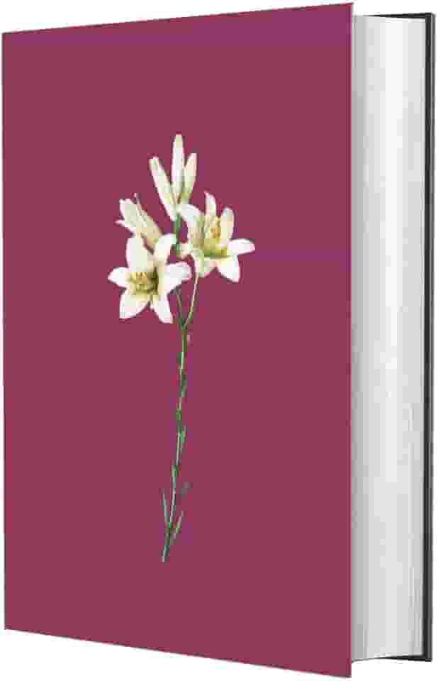 Bíblia Sagrada NVI - LETRA GRANDE: Lírios Color