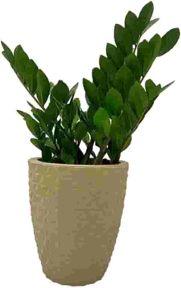 VASO POLIETILENO COLUNA BERLIAN GOLD 3D DECORATIVO P/PLANTAS/JARDINS/ESCRITÓRIOS (BEGE)