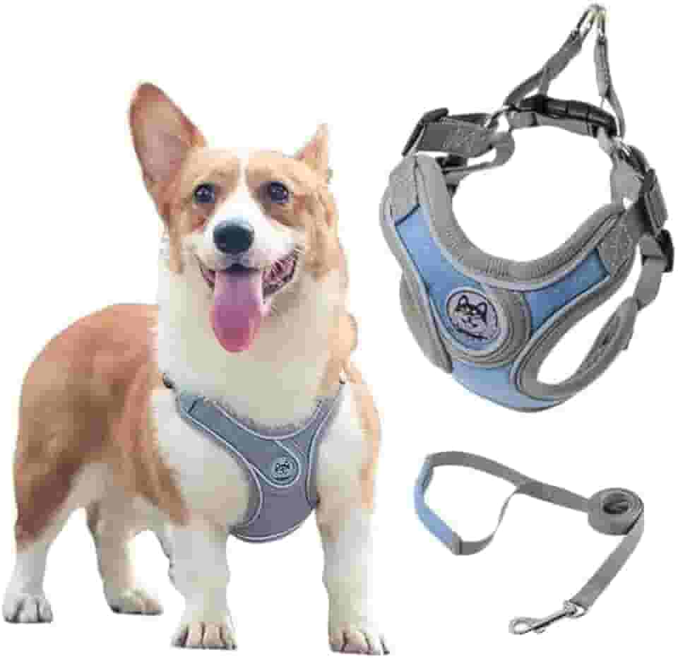 Coleira Peitoral para Cachorros Ajustável com Guia de Passeio (Azul, P)