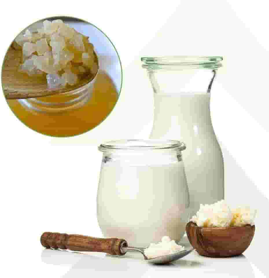 Kit Kefir de Leite + Kefir de Agua + Iogurte Infinito Probioticos Mudas Grãos Com Assessoria