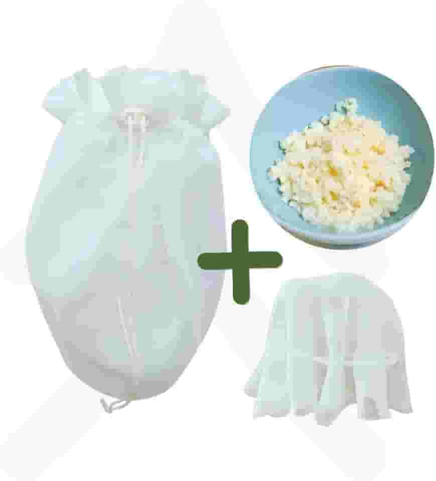 Kefir de Leite + Coador e Tampa Voal - Kit Cultivo com Assessoria