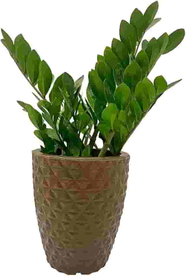 VASO POLIETILENO COLUNA BERLIAN GOLD 3D DECORATIVO P/PLANTAS/JARDINS/ESCRITÓRIOS (MARROM)