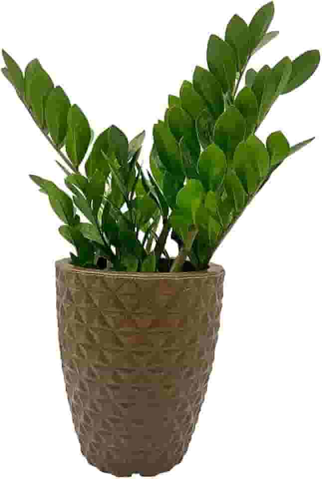 VASO POLIETILENO COLUNA BERLIAN GOLD 3D DECORATIVO P/PLANTAS/JARDINS/ESCRITÓRIOS (MARROM)