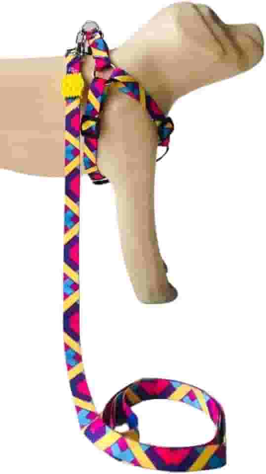 Conjunto Peitoral Coleira com Guia para Cachorros com Pingente para Identificação PP, Tamanho Ajustável, Confortável e Resistente