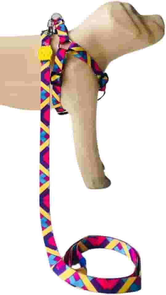 Conjunto Peitoral Coleira com Guia para Cachorros com Pingente para Identificação M, Tamanho Ajustável, Confortável e Resistente