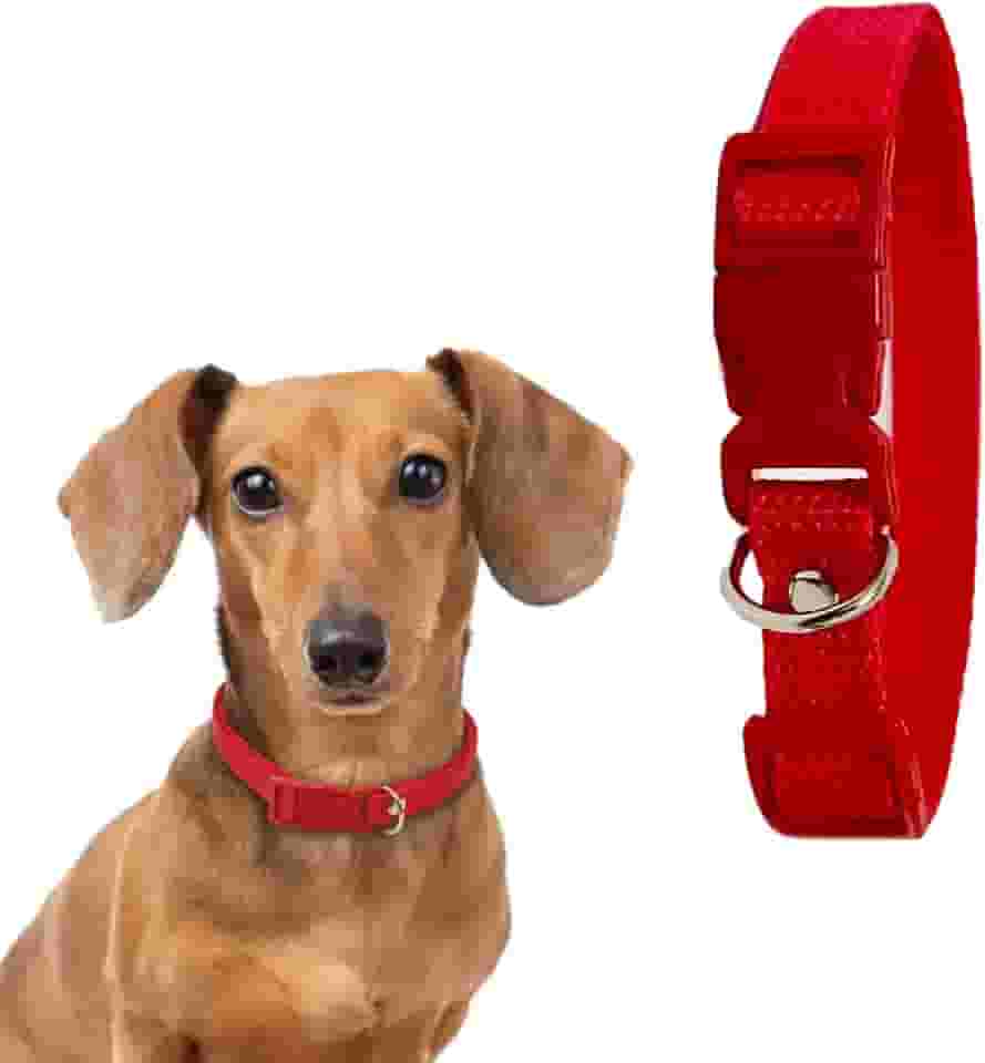 Coleira para Cachorro com Regulagem e Ajustável (VERMELHO, P)