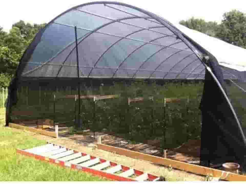 Sombrite 50% tela sombreamento para horta jardim orquidario viveiro estufa 4x2