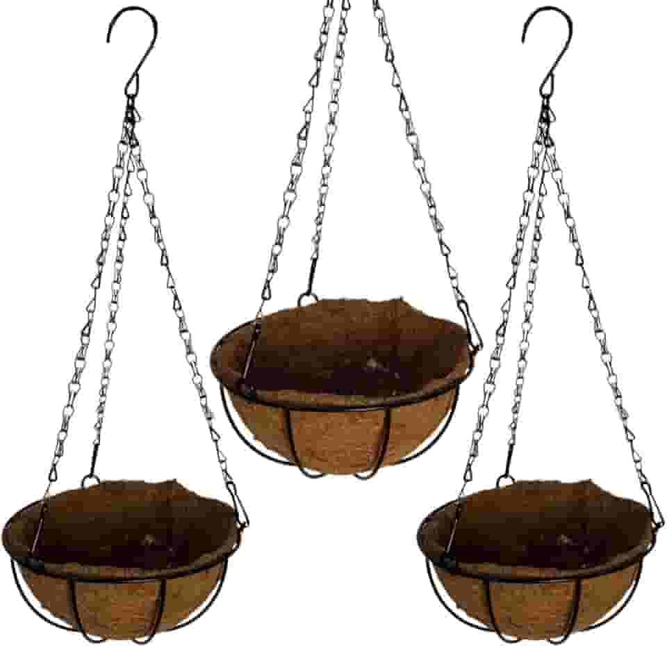 Vaso de Fibra de Coco 20cm de Plantas Suspenso com Corrente (3, 20cm)