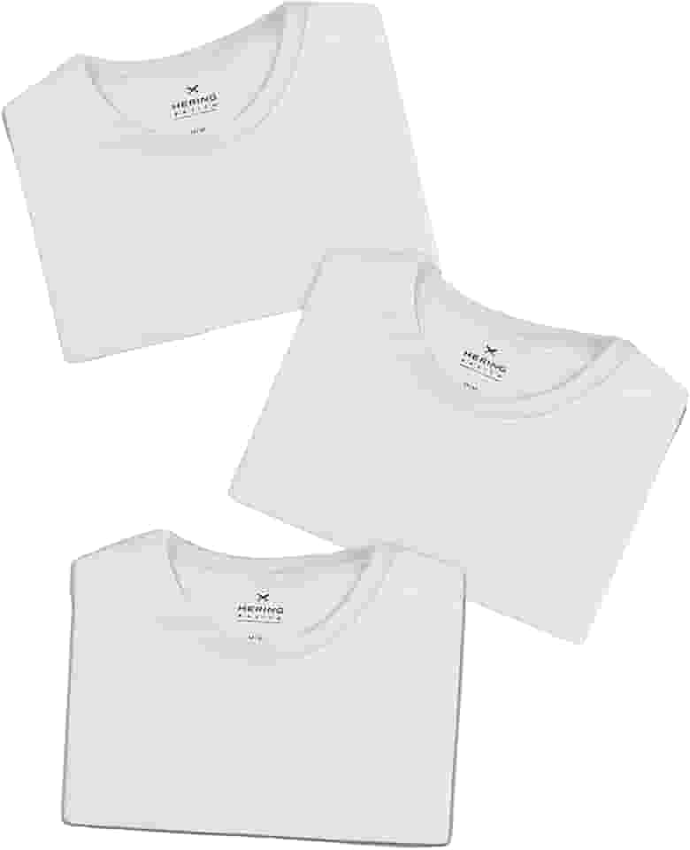 Kit Com 3 Camisetas Masculinas Básicas Hering