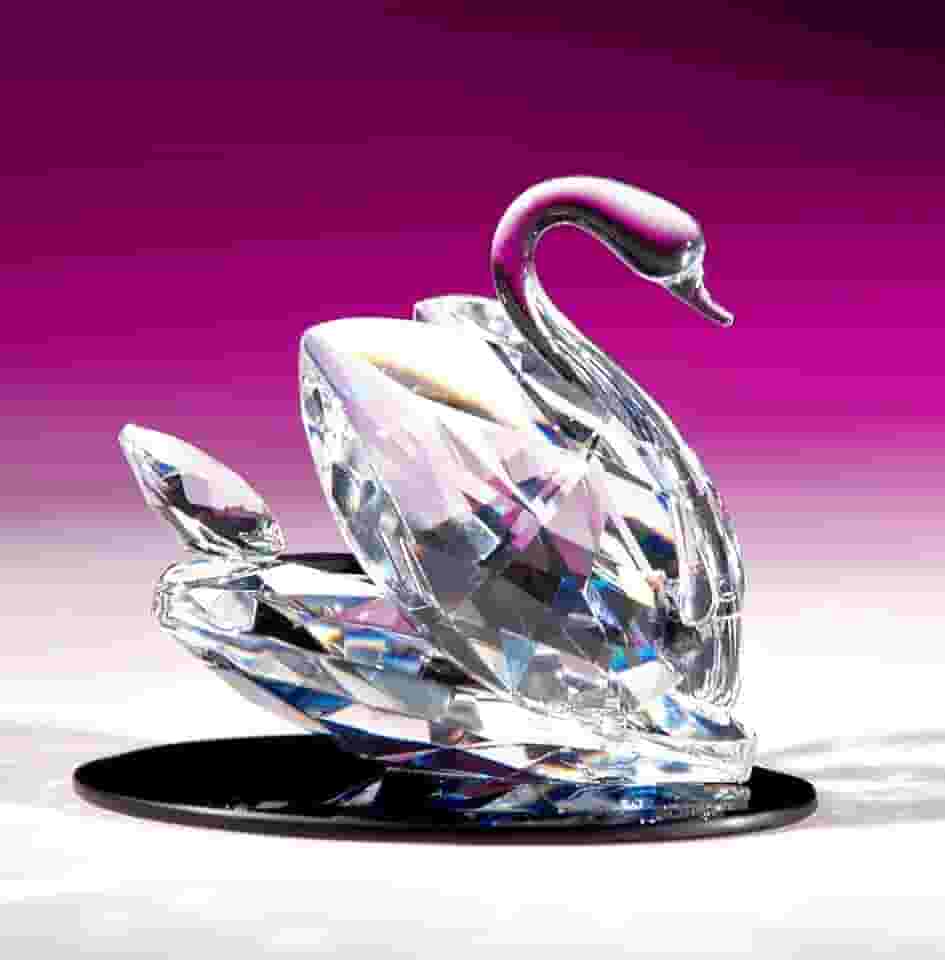 Cisne do Mundo de Cristal