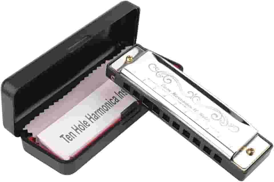 Eison Gaita diatônica chave C padrão 10 furos 20 tons com estojo, mini gaita para iniciantes presente, prata, 1 pacote