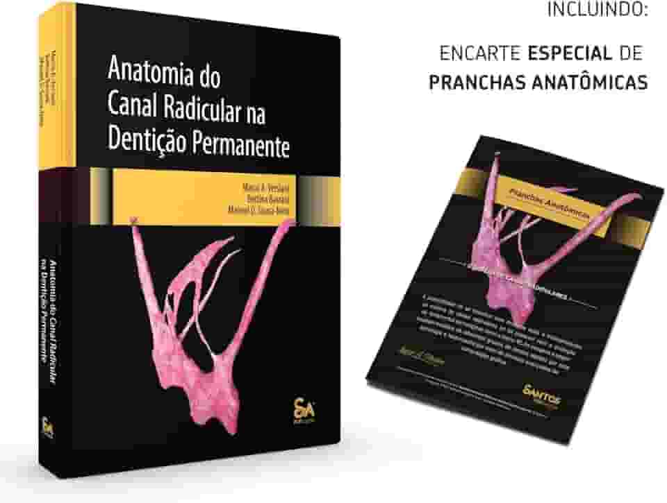 ANATOMIA DO CANAL RADICULAR NA DENTIÇÃO PERMANENTE