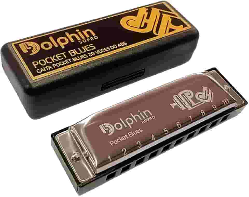 Gaita Dolphin Pocket Blues Dó Cromada 20 Vozes Estojo