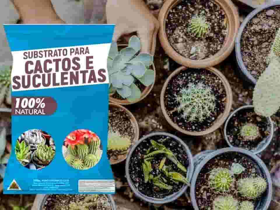 Substrato para Cactos e Suculentas 4kgs – Crescimento Saudável e Drenagem Perfeita!