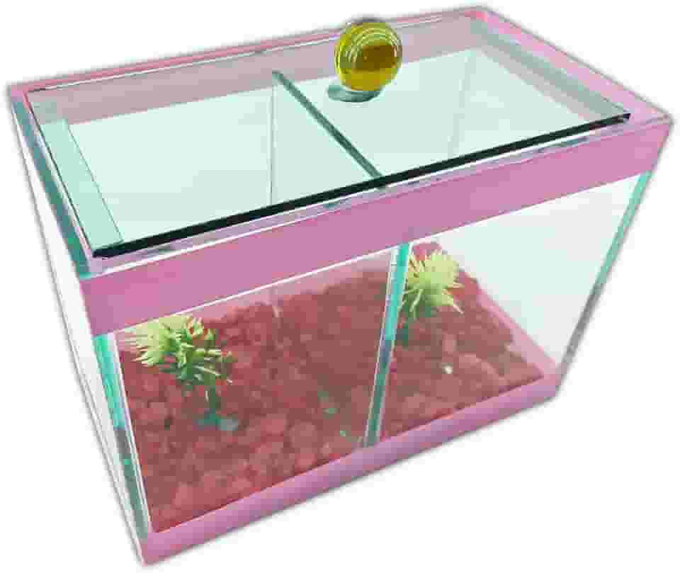 Aquário Beteira Dupla Decorado 17x9x13 1,9L 2 Peixes Betas (Rosa)