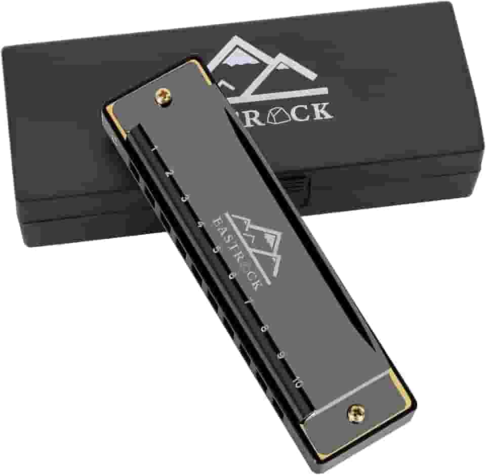 EastRock Blues Harmonica boca órgão 10 furos C chave com capa, gaita diatônica para jogadores profissionais, iniciantes, estudantes, adultos, amigos, presente preto
