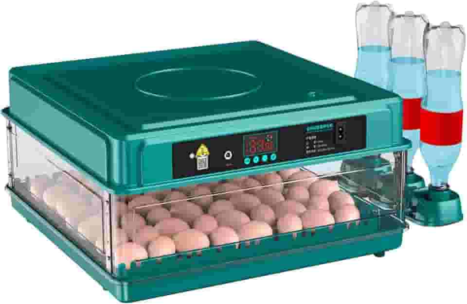 Chocadeira Automática Bateria 12v Tanque Água 130 Ovos 220 V