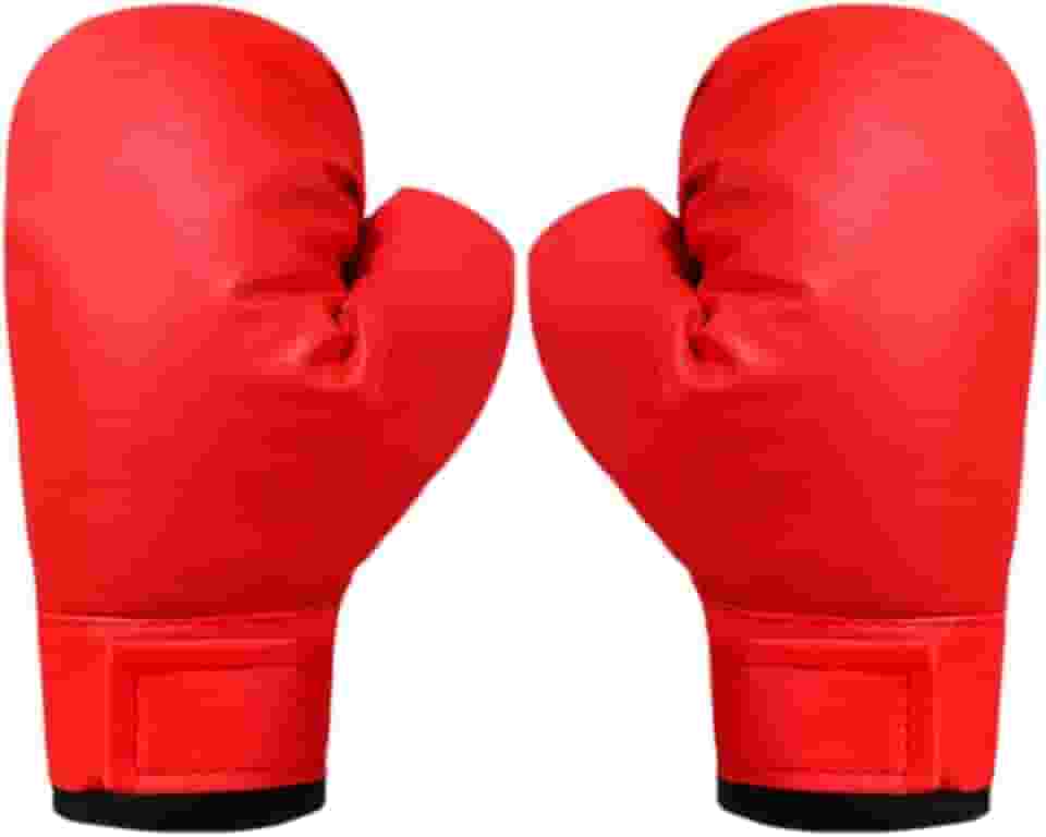 Luva de Boxe e Muay Thai Equipamento de Proteção de Treinamento para Iniciantes COR ALEATÓRIA