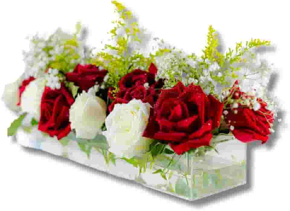 Vaso de flor de acrílico, vaso de flor retangular, vaso de floreira vaso de arte decorativa, suporte de planta hidropônica para mesa de jantar em casa,40x10x6,5cm 18 Furos