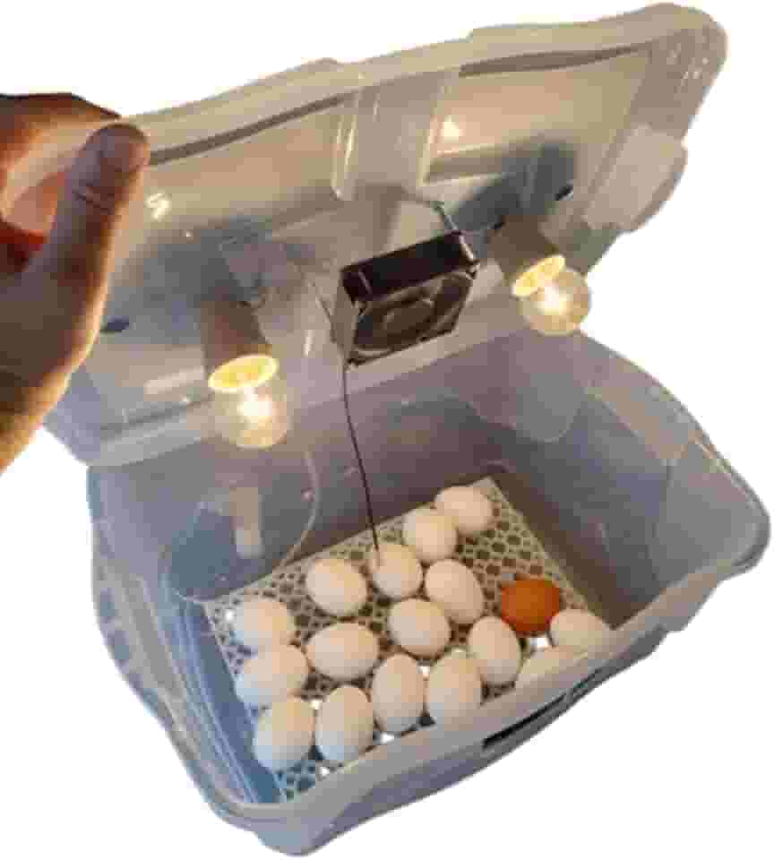 Chocadeira Pet Compacta Com 2 Lâmpadas Cooler Para 30 Ovos De Galinha Ou 90 De Codorna