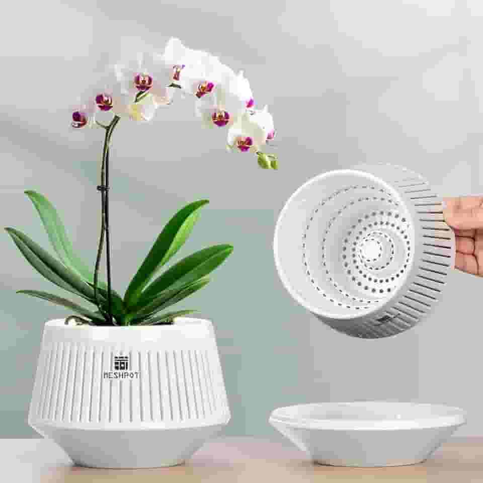 Vasos de orquídea de 12,7 cm com furos para repotting, conjunto de 1, vasos decorativos de violeta africana com poda de ar e boa circulação de ar, plantador de orquídeas brancas de plástico