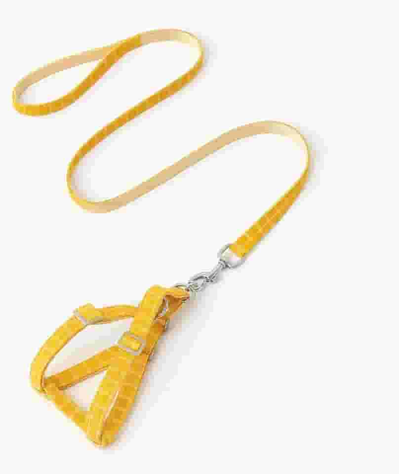 Coleira para cães com amortecedor de choque macia de dois tons