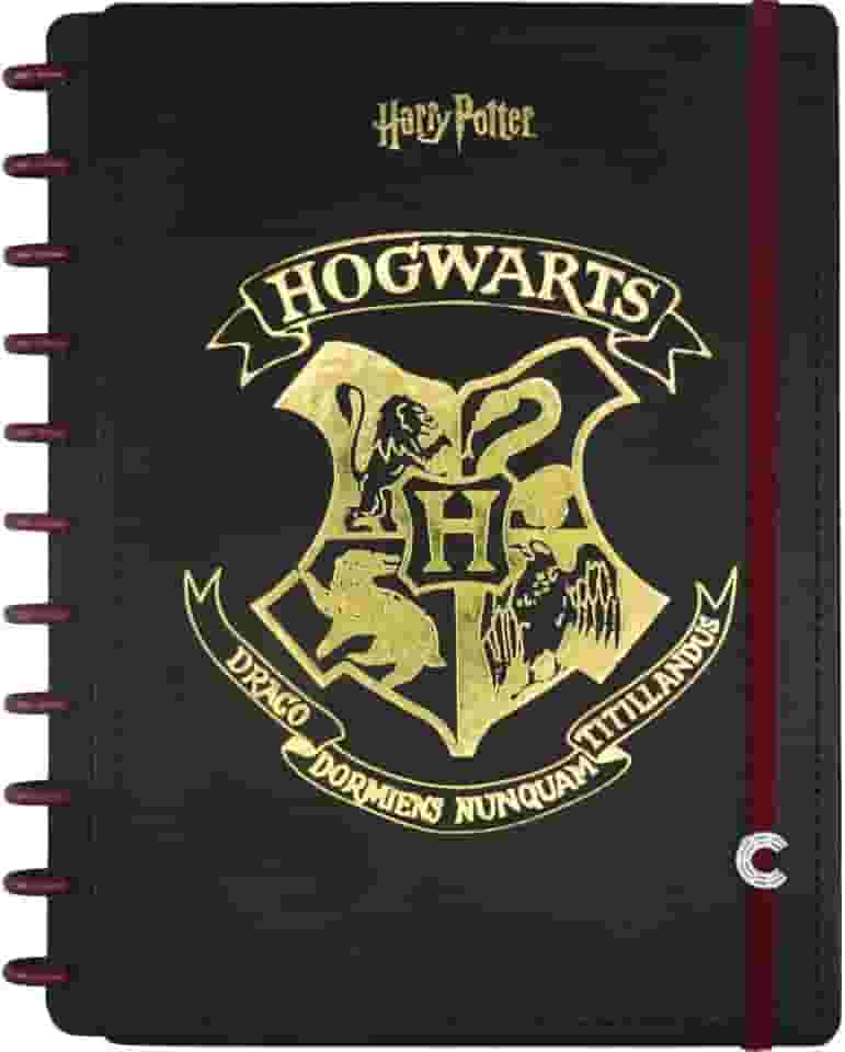 Caderno Inteligente, Grande, Harry Potter, 200x275 mm, 80 Folhas