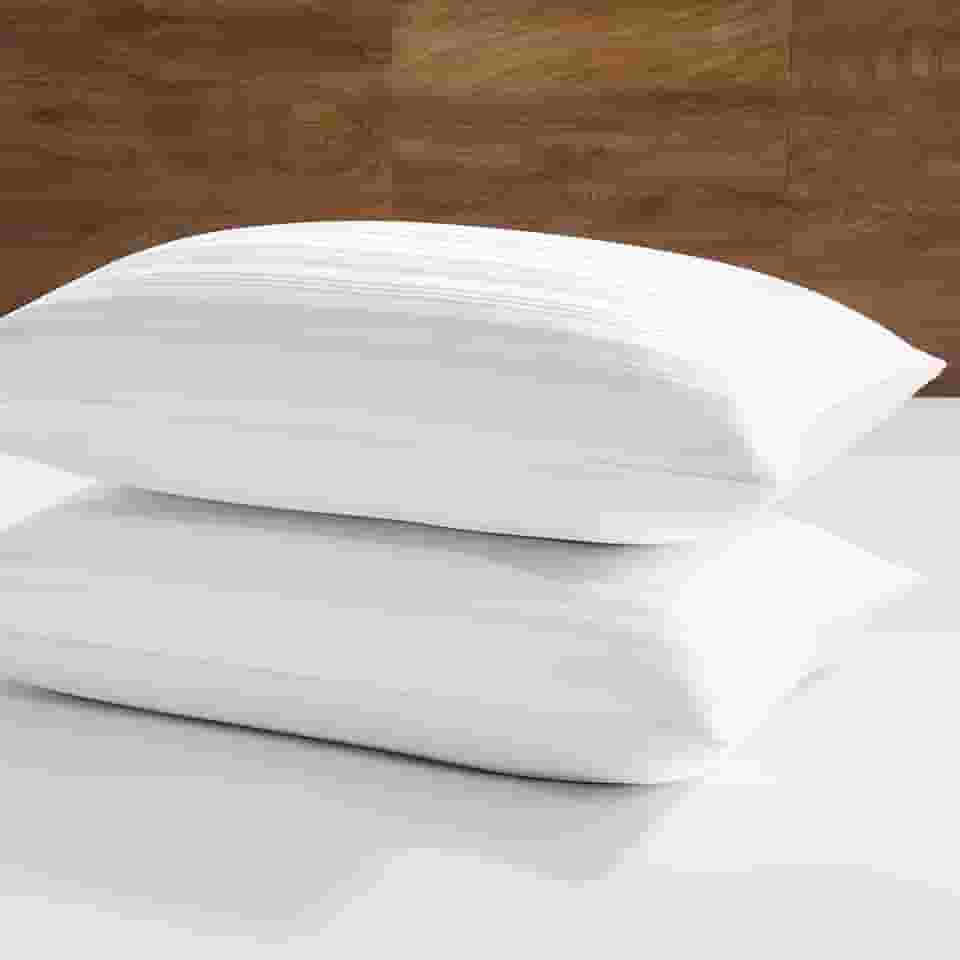 downluxe Travesseiros de plumas de ganso - Conjunto de 2 travesseiros de penas da coleção de hotel para dorminhocos nas costas, estômago ou de lado, tamanho Queen (51 x 71 cm)