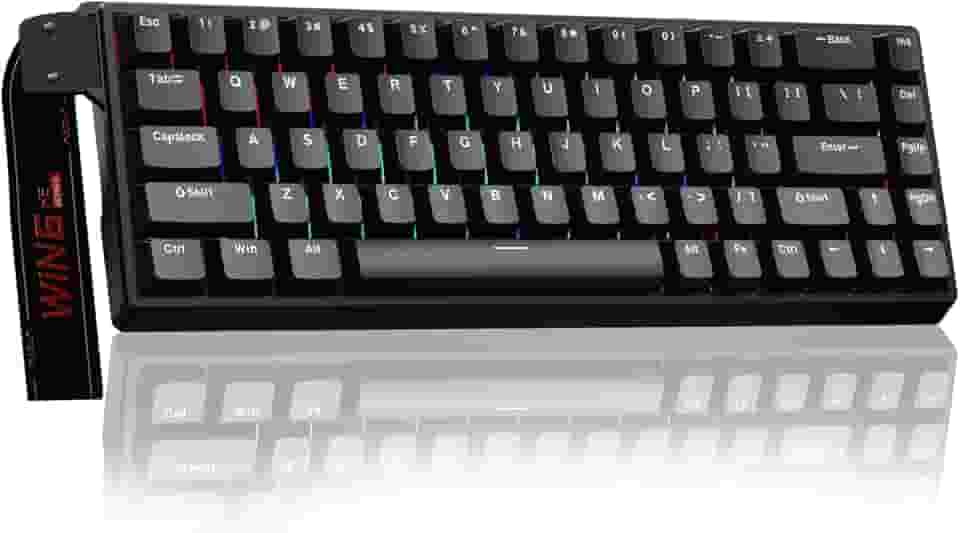 AULA Teclado mecânico para jogos WIN68 HE 60%, interruptor magnético de efeito Hall, modo de acionamento rápido, taxa de sondagem de 8000 Hz, retroiluminação RGB, teclado preto com fio para laptop/PC