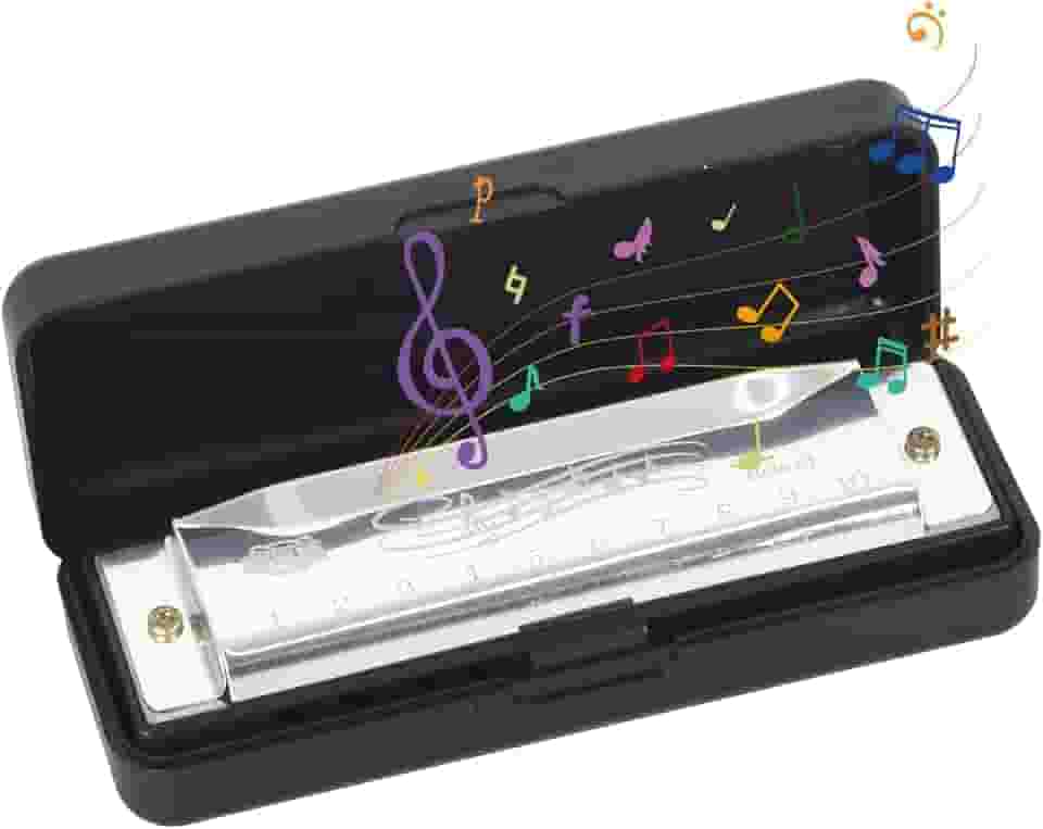 Gaita C maior de 10 furos com capa, para iniciantes e profissionais